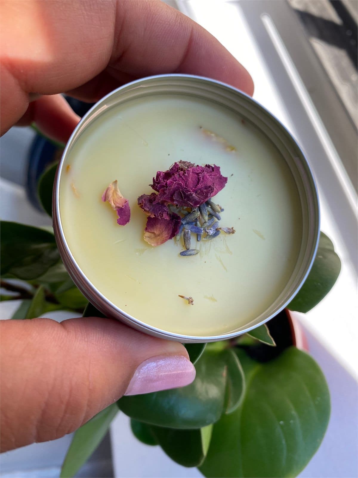 A hand holding a tin of homemade herbal salve topped with dried rose and lavender