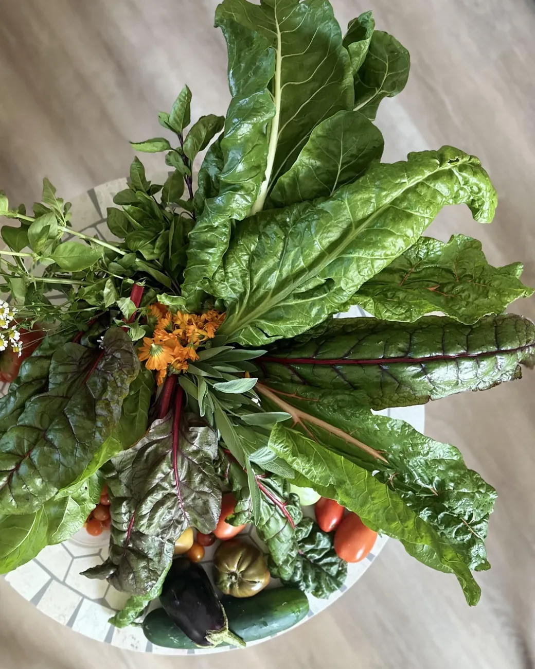 Looking down on a just-picked harvest heaped on a white mosaic table: broad rainbow chard leaves with red stems, basil, sage, calendula and chamomile flowers, over heirloom tomatoes, cherry tomatoes, an eggplant and cucumbers